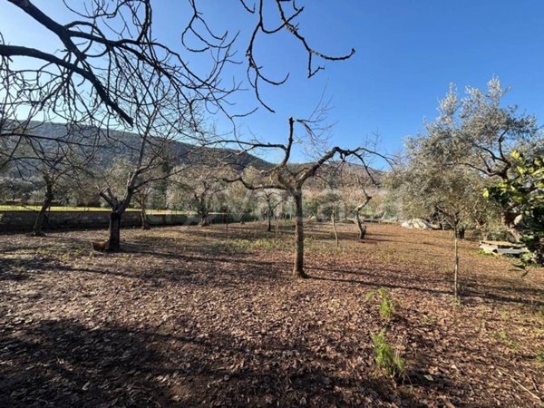 terreno agricolo in vendita a Caserta in zona Briano