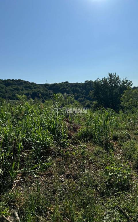 terreno agricolo in vendita a Caserta in zona Garzano