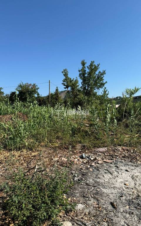 terreno agricolo in vendita a Caserta in zona Garzano