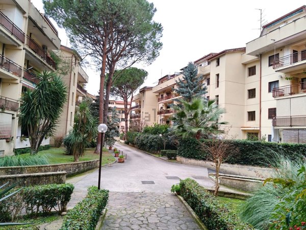 appartamento in vendita a Caserta