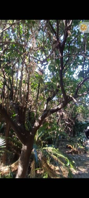 casa indipendente in vendita a Caserta in zona San Leucio