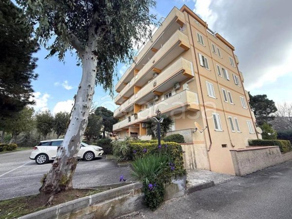 appartamento in vendita a Caserta in zona Centurano/Cerasole