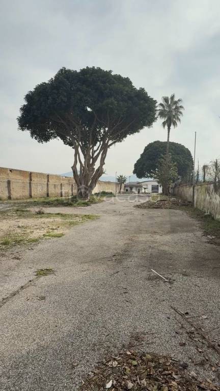 locale commerciale in vendita a Caserta