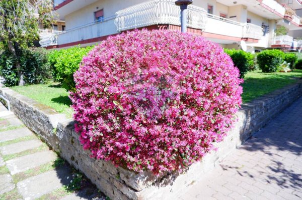 appartamento in vendita a Caserta in zona Michelangelo