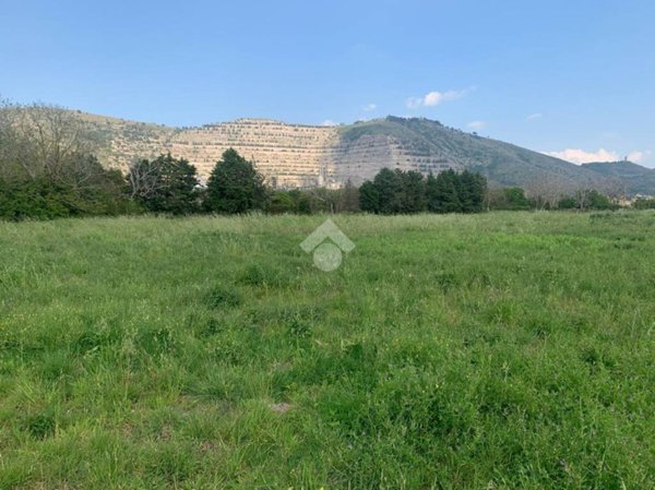 terreno agricolo in vendita a Caserta in zona San Clemente