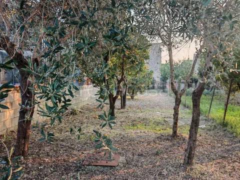terreno agricolo in vendita a Caserta