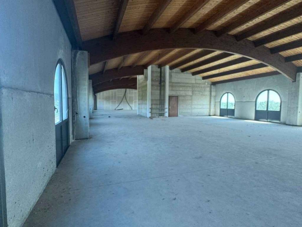 locale commerciale in vendita a Caserta in zona Acquaviva