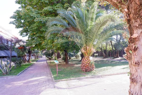 appartamento in vendita a Caserta in zona Centurano/Cerasole