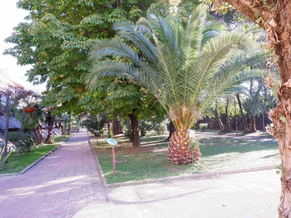 appartamento in vendita a Caserta in zona Centurano/Cerasole