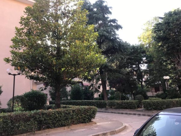 appartamento in vendita a Caserta in zona Acquaviva