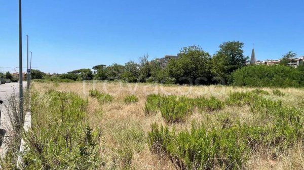 terreno agricolo in vendita a Caserta in zona Falciano