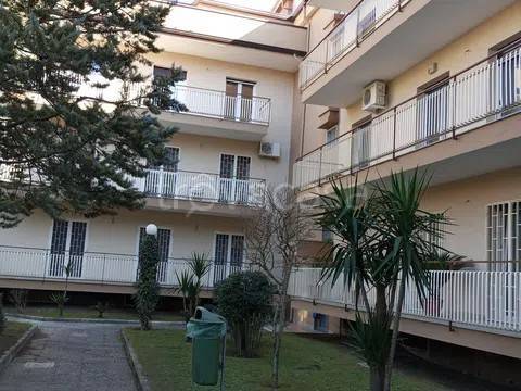 appartamento in vendita a Caserta in zona Centurano/Cerasole