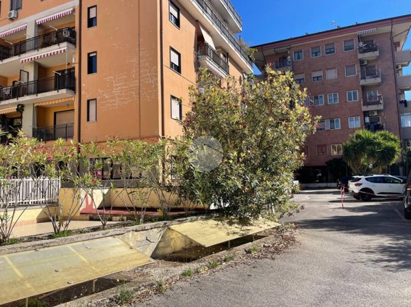 box auto in vendita a Caserta in zona Acquaviva