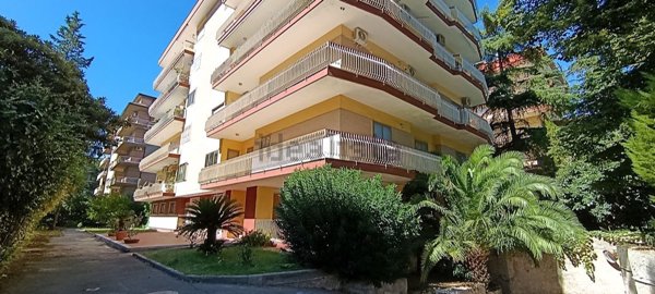 appartamento in vendita a Caserta in zona Michelangelo