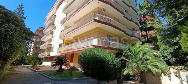 appartamento in vendita a Caserta in zona Michelangelo