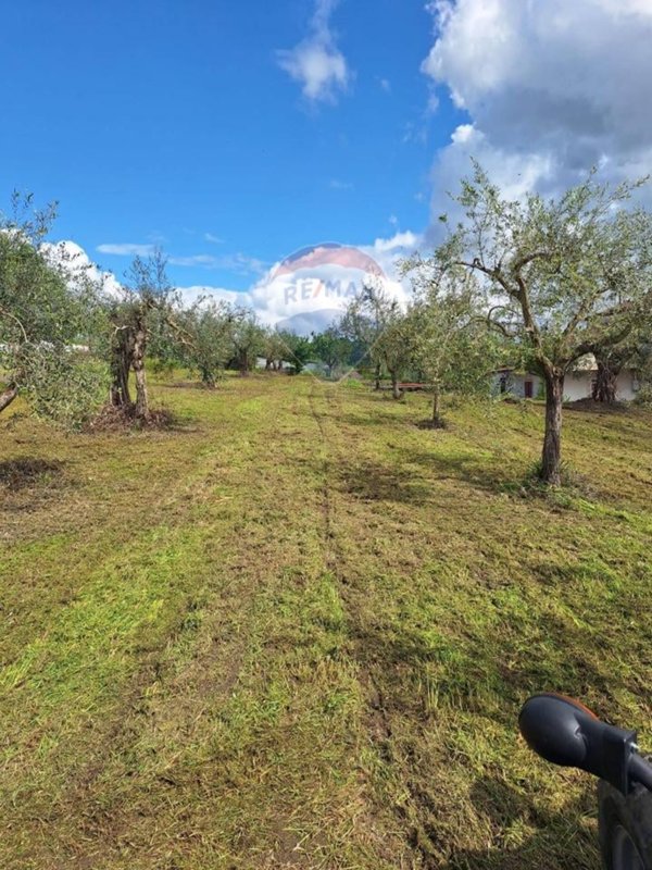 casa indipendente in vendita a Castel Campagnano in zona Squille