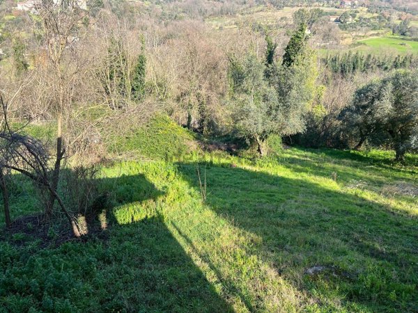 appartamento in vendita a Castel Campagnano
