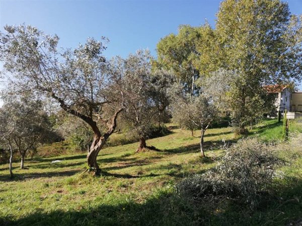 casa indipendente in vendita a Castel Campagnano