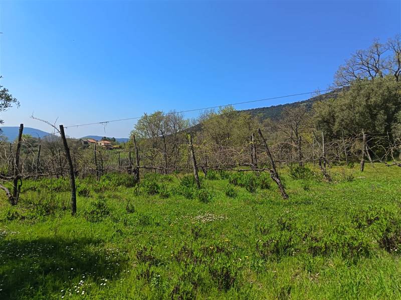 casa indipendente in vendita a Castel di Sasso