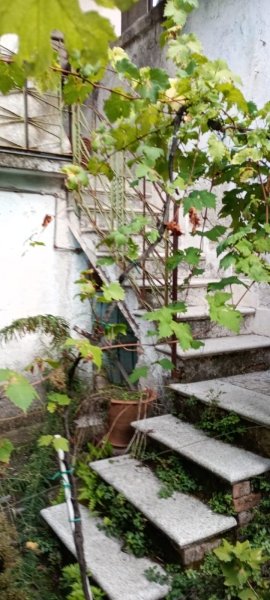 casa indipendente in vendita a Castello del Matese