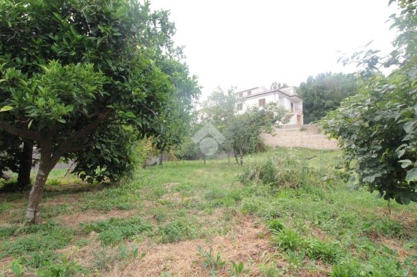 casa indipendente in vendita a Castel Morrone