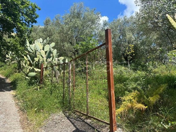 terreno agricolo in vendita a Castel Morrone
