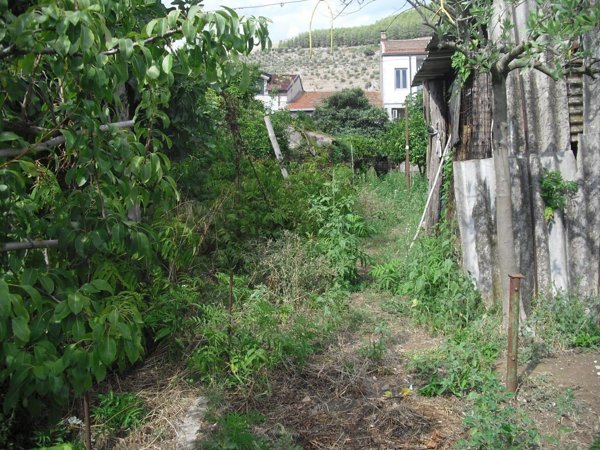 casa indipendente in vendita a Castel Morrone in zona Sant'Andrea