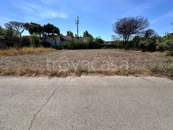 terreno agricolo in vendita a Castel Volturno