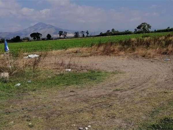 terreno agricolo in vendita a Castel Volturno