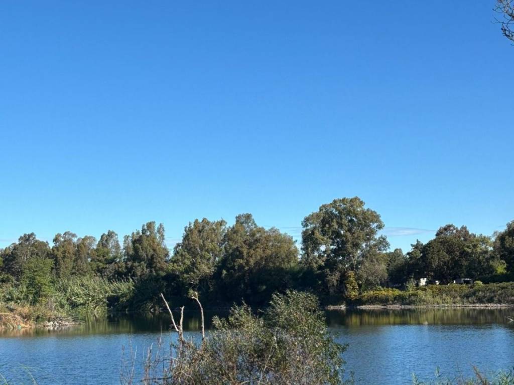 terreno agricolo in vendita a Castel Volturno