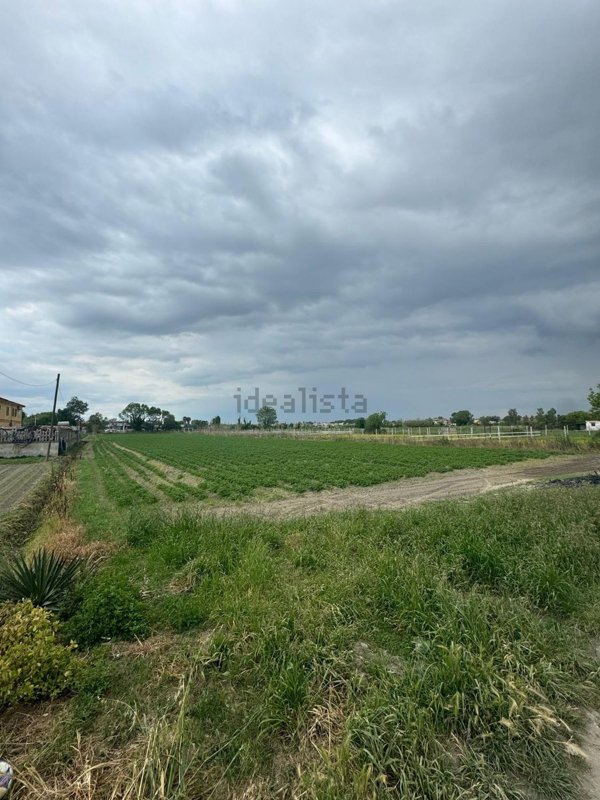 terreno agricolo in vendita a Castel Volturno