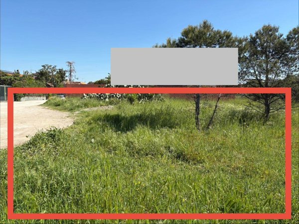 terreno agricolo in vendita a Castel Volturno in zona Pineta Grande
