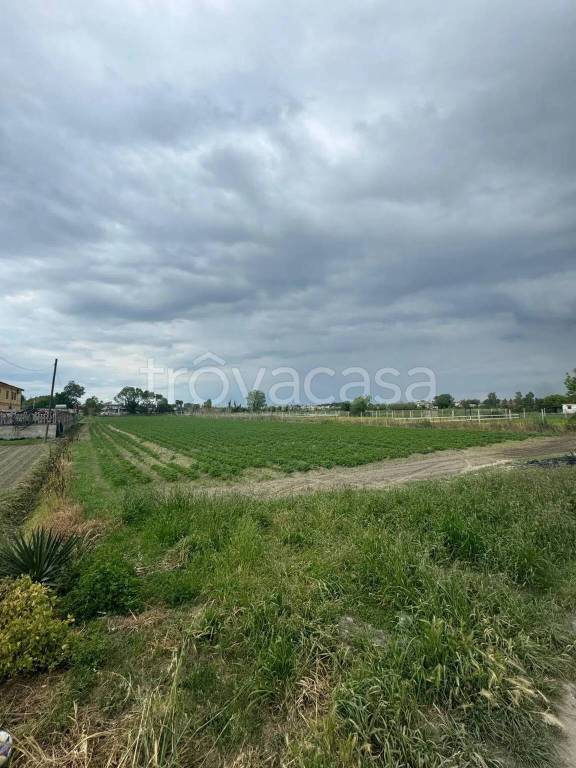 terreno agricolo in vendita a Castel Volturno in zona Le Morelle