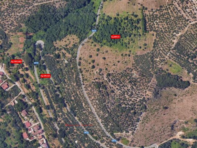 terreno agricolo in vendita a Cervino