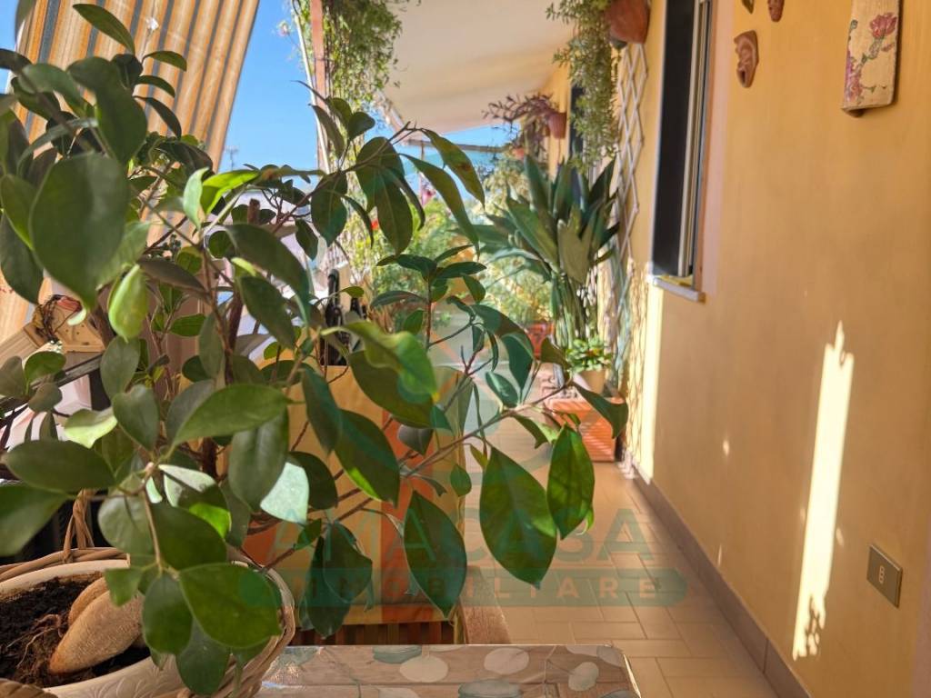 appartamento in vendita a Cesa