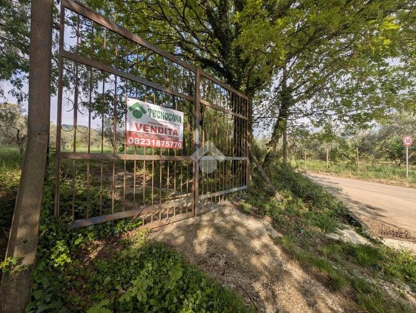 terreno agricolo in vendita a Conca della Campania in zona Potete