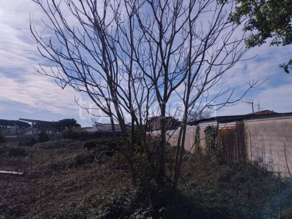 terreno edificabile in vendita a Curti