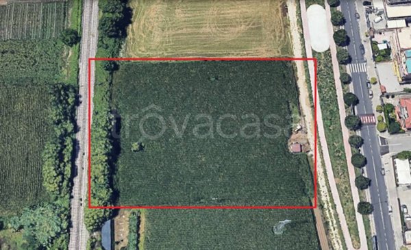 terreno agricolo in vendita a Curti