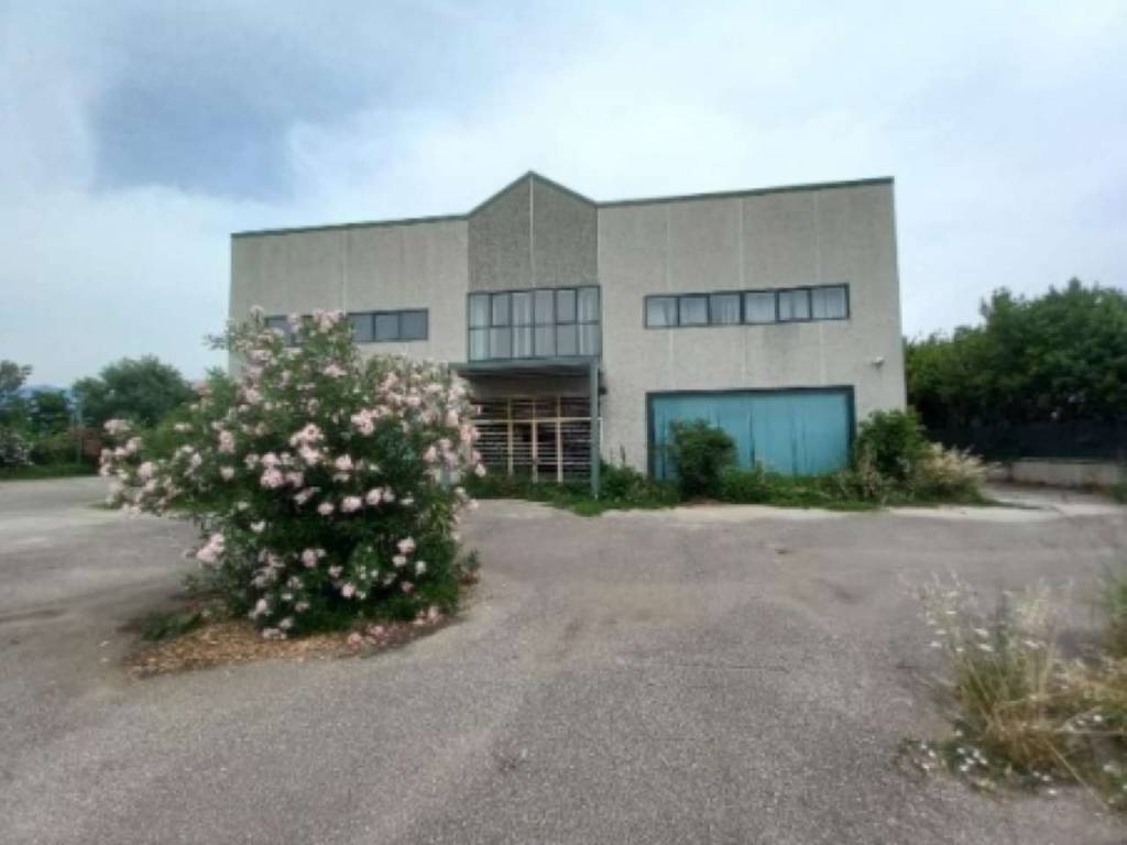 locale commerciale in vendita a Dragoni in zona San Giorgio