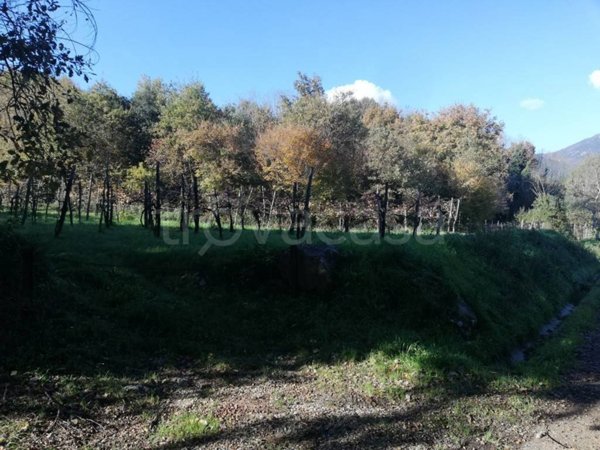 appartamento in vendita a Formicola