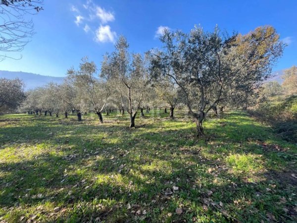 terreno agricolo in vendita a Formicola