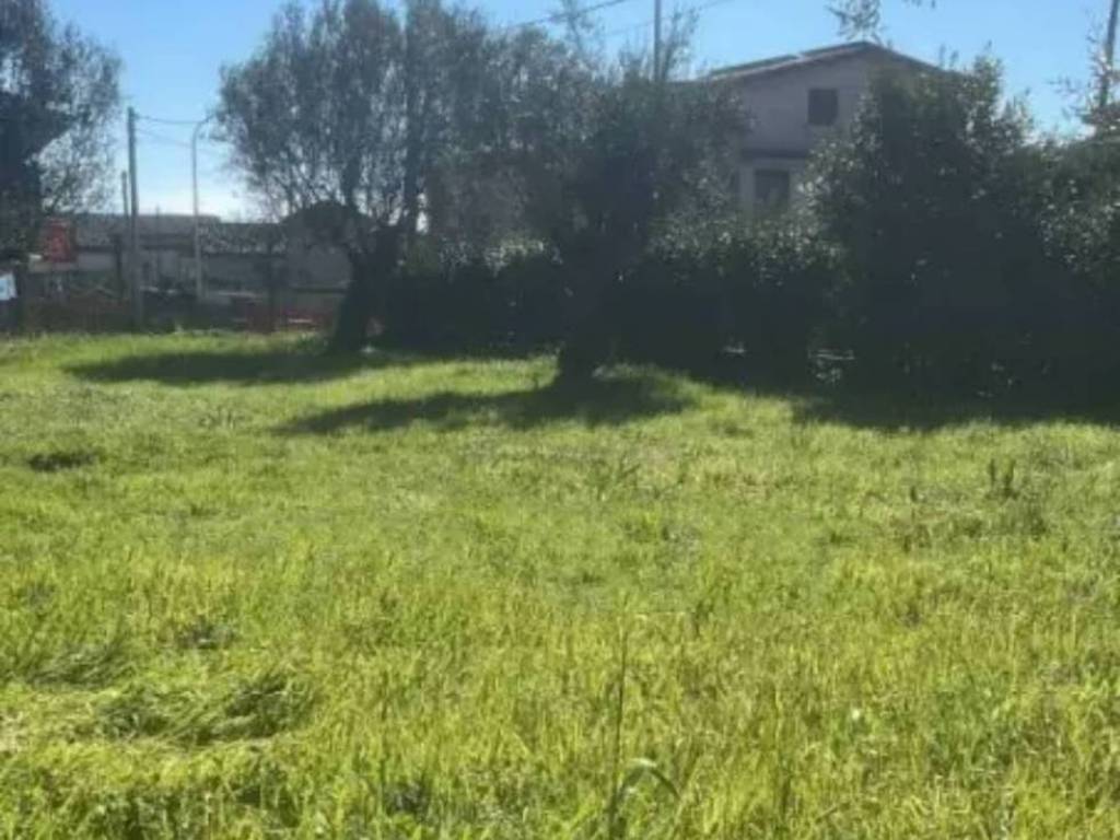 appartamento in vendita a Formicola