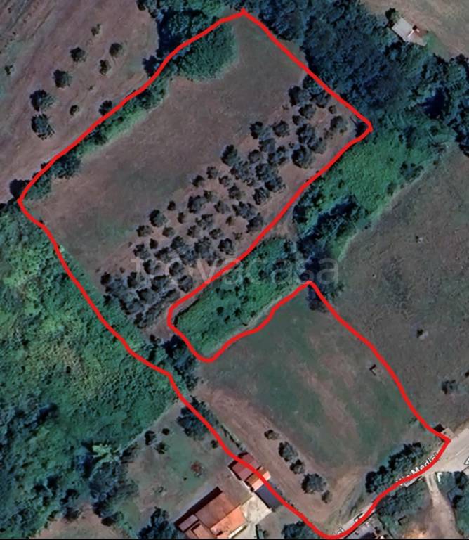 terreno agricolo in vendita a Formicola