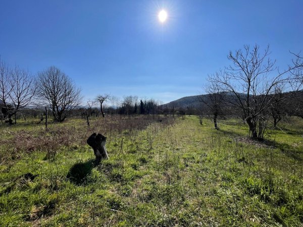 terreno agricolo in vendita a Formicola