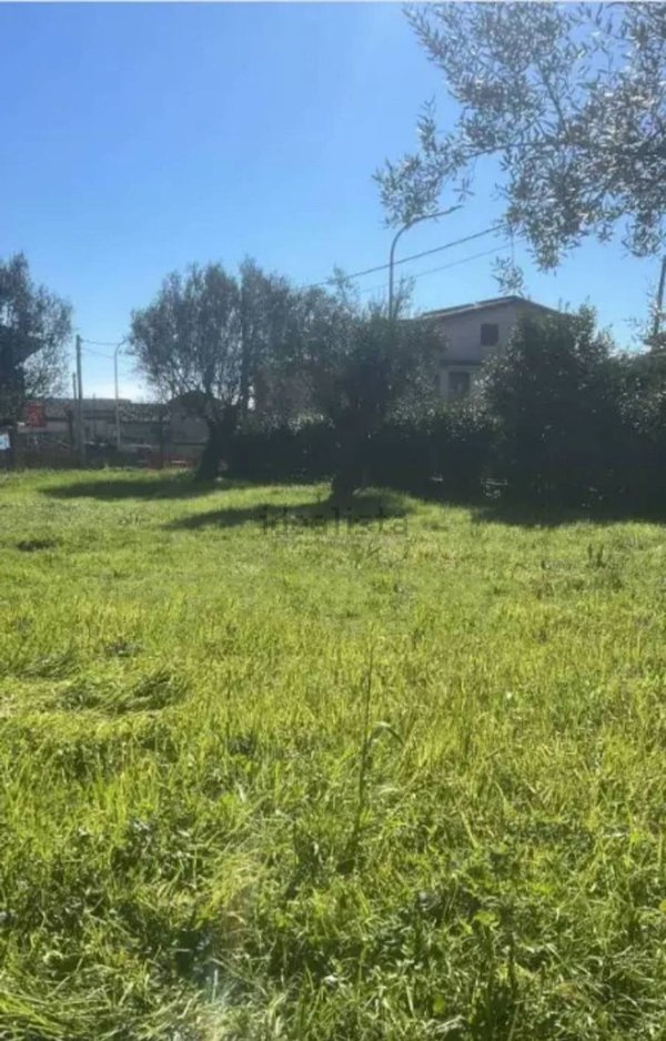 appartamento in vendita a Formicola