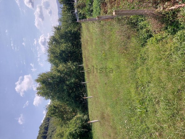 pentavano in vendita a Formicola