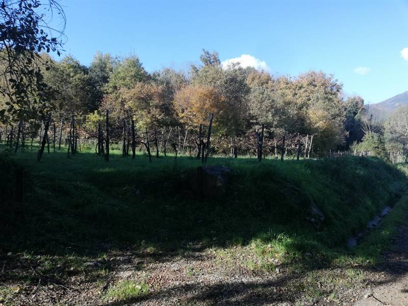 casa indipendente in vendita a Formicola