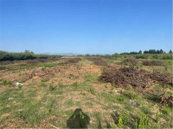 terreno agricolo in vendita a Francolise