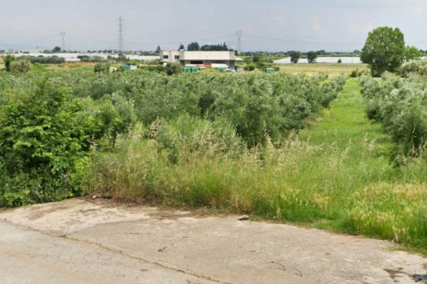 terreno edificabile in vendita a Francolise in zona Montanaro
