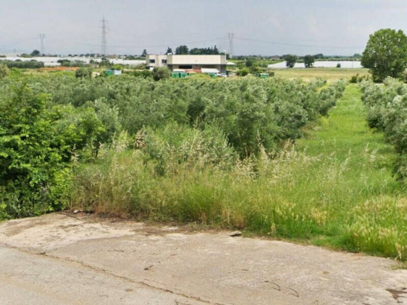 terreno agricolo in vendita a Francolise